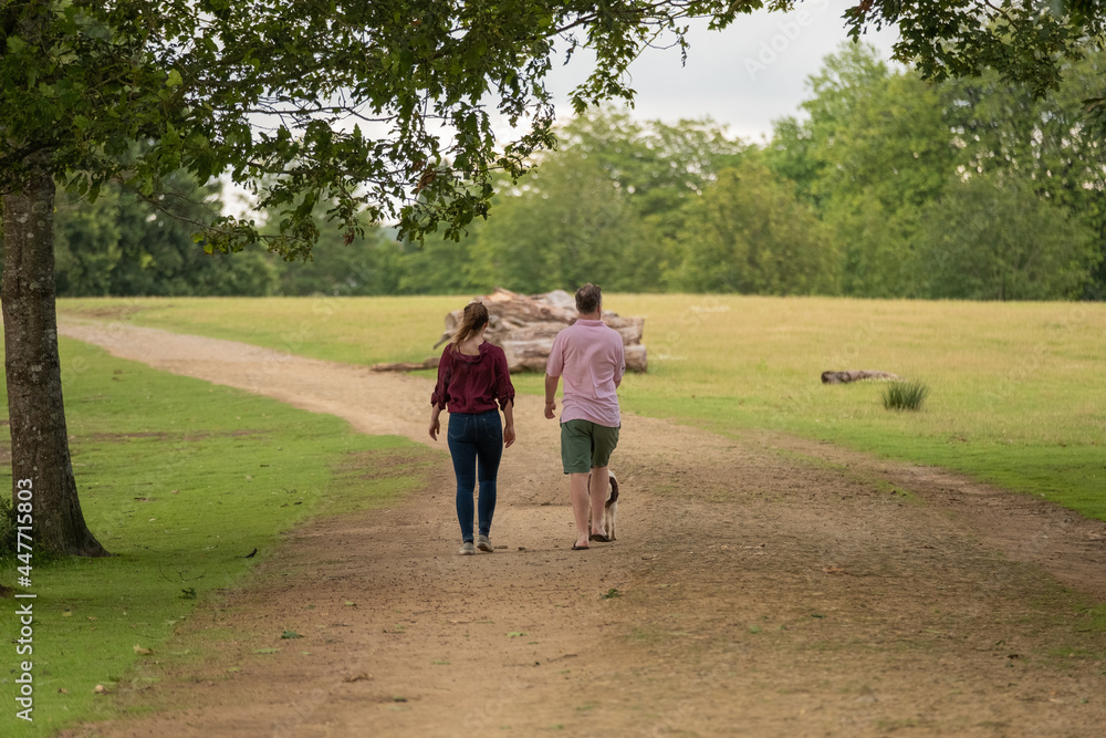 Morning exercise around Petworth park Morning exercise around Petworth park