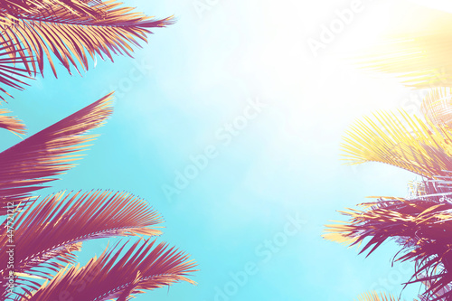 Tropical palm tree with sun light on sunset sky and cloud abstract background.