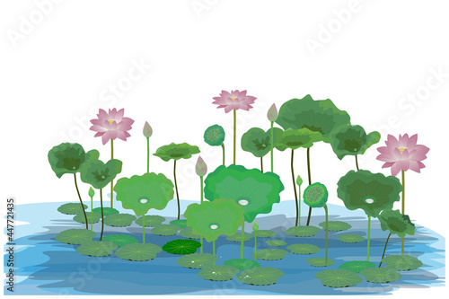 isolated lotus flower on white background vector design