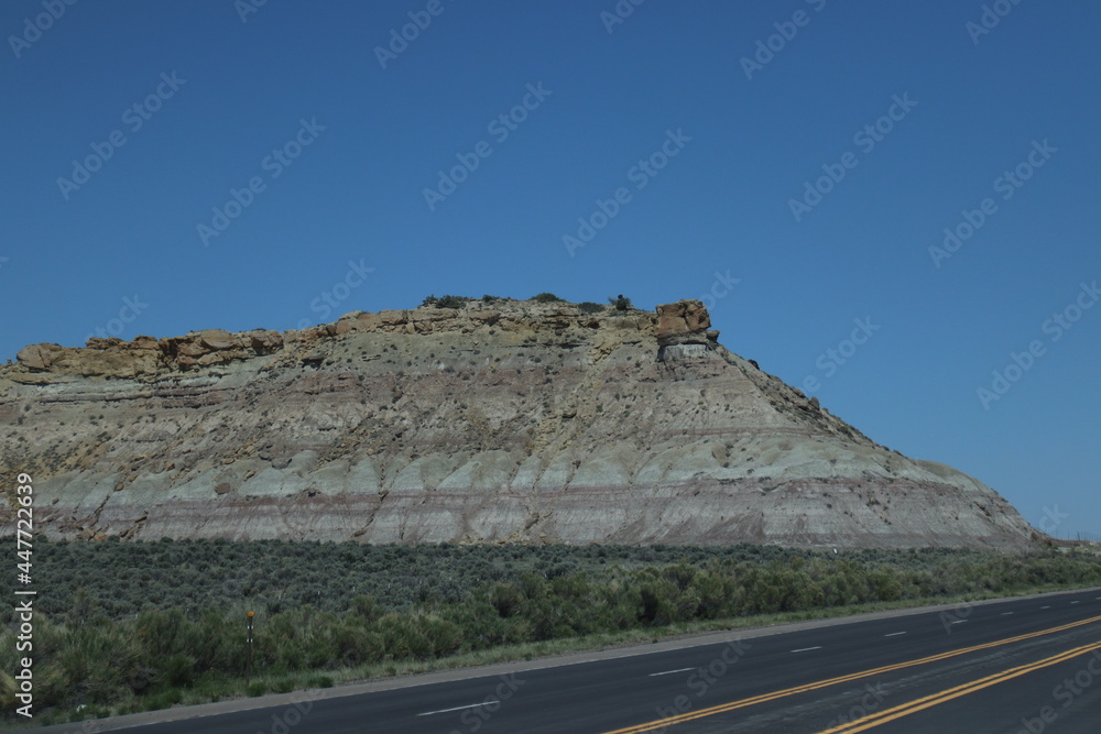 New Mexico Wildlife and Landscape