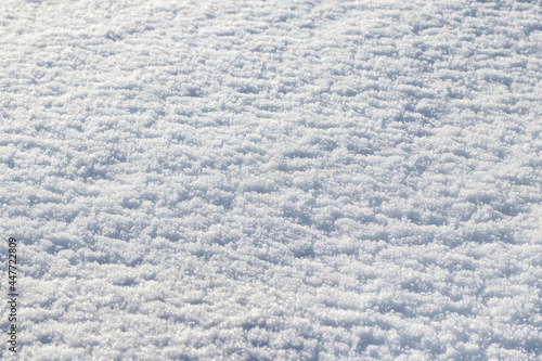 Clear snow texture in bright sunlight, winter background with snow