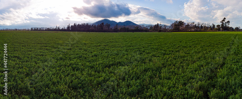 Panoramic view of a green field and mountains in the back. Cloudy weather.