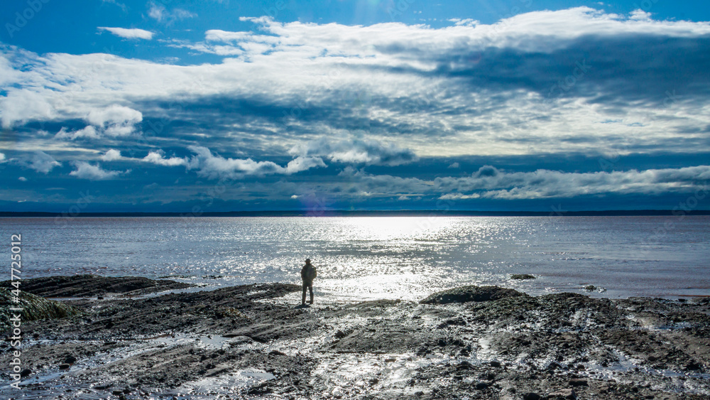 Canada-New Brunswick-Hopewell Rocks