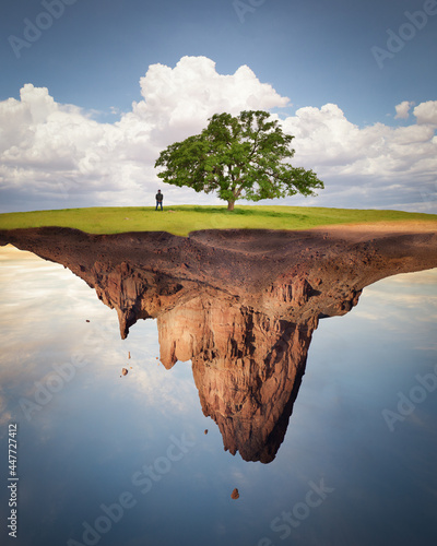 Man standing under a tree on a floating plot of land, USA photo