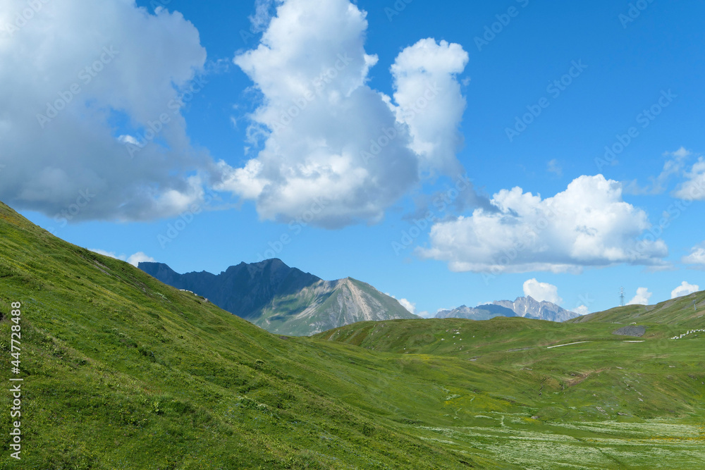 Fototapeta premium Green pastures at altitude in summer. Rocky mountain peaks in the background. View on the valley in the Alps.