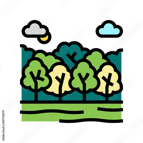 deciduous forests color icon vector. deciduous forests sign. isolated symbol illustration