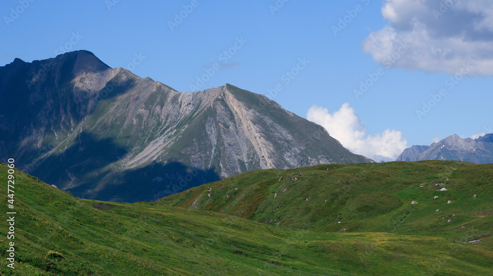 Green pastures at altitude in summer. Rocky mountain peaks in the background. View on the valley in the Alps.