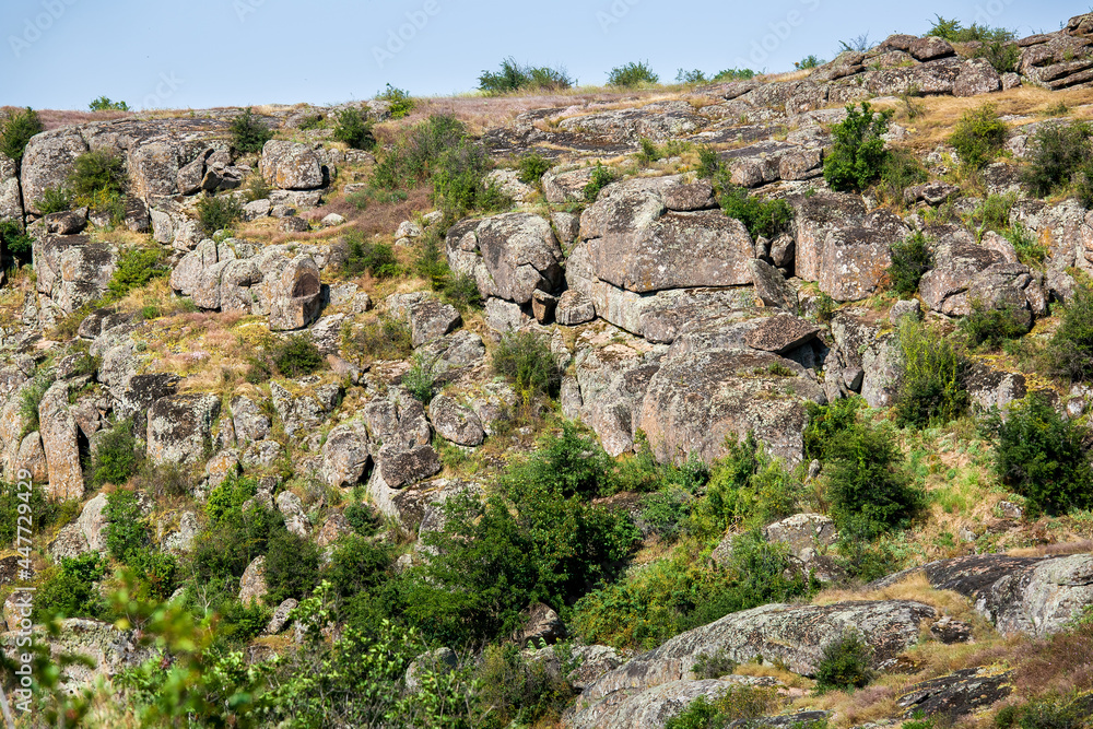 mountain top with trees and granite stone ledges wildlife landscape with grass on a hillside on a summer day, a place for active tourism and hiking, nobody. mountain top with trees and granite stone ledges wildlife landscape with grass on a hillside on a summer day, a place for active tourism and hiking, nobody.