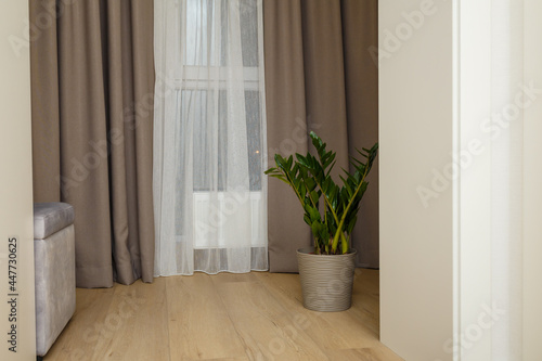 Modern interior design. Long window curtains  green potted home plant. Eco-friendly interior  KonMari decluttering method.