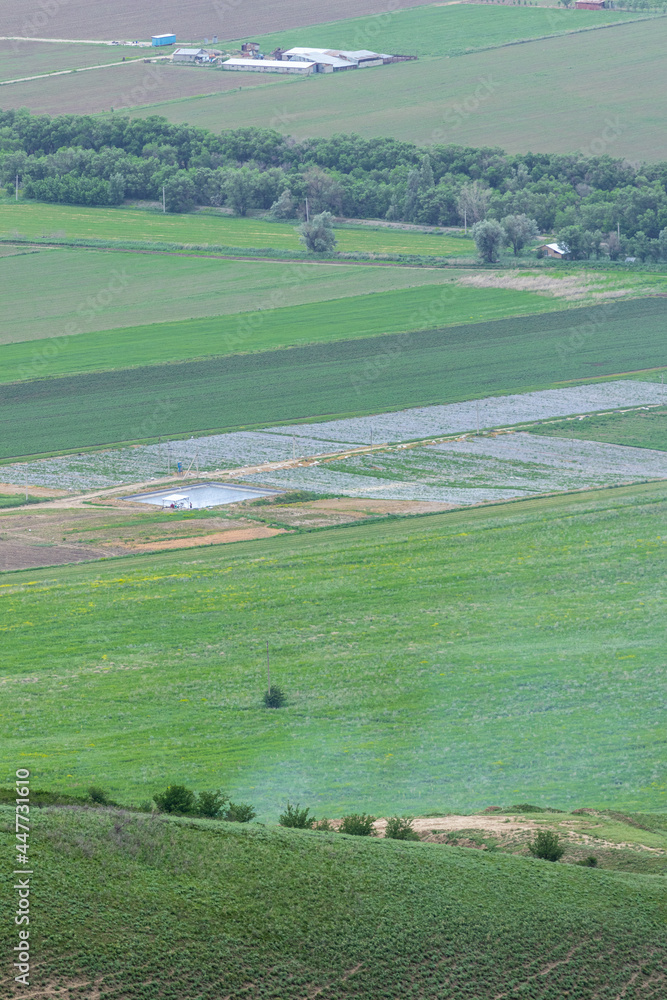 Fototapeta premium Farming fields with irrigation pool