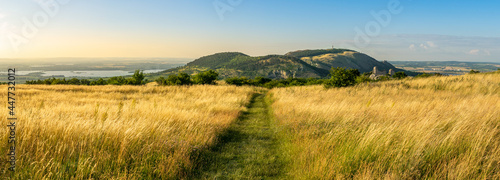 Evening in the Palava Hills, Southern Moravia, Czech republic photo
