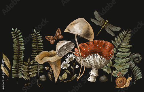Woodland treasures, Amanita mushroom, fern, forest plants baner. photo