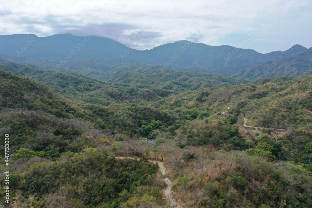 Fototapeta premium Bosque tropical, paisaje, montañas