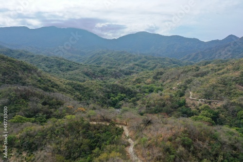 Bosque tropical, paisaje, montañas