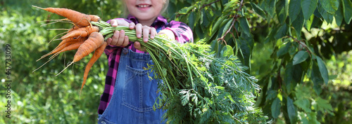 Baby girl holding carrots in garden child eating healthy food lifestyle vegan organic raw vegetables home grown summer gardening concept