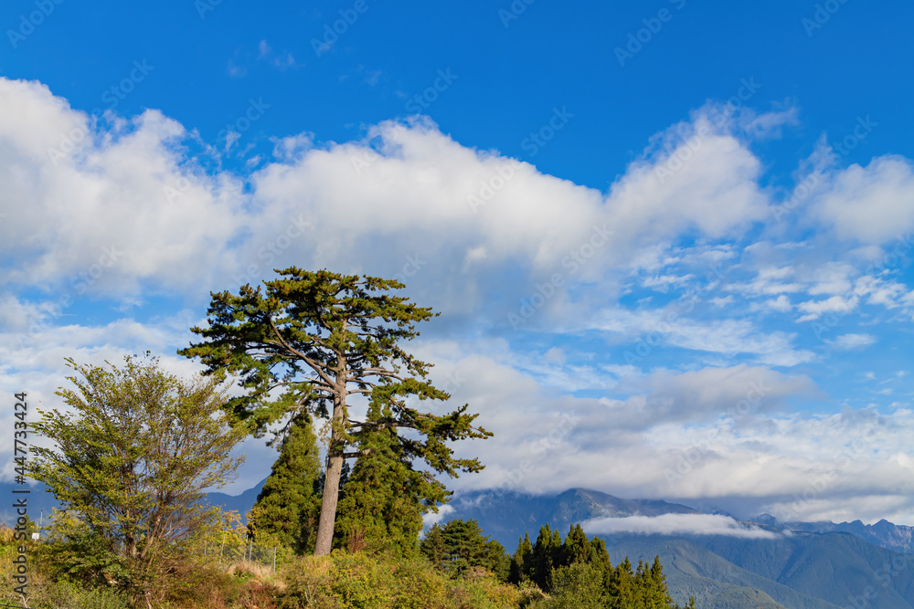 Autumn mountain landscape in Wuling Farm Autumn mountain landscape in Wuling Farm