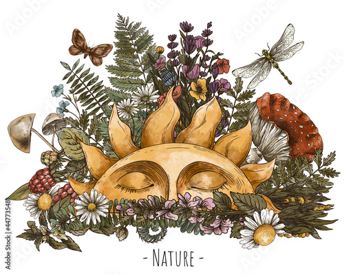 Vintage sun illustration with woodland treasures, Amanita mushroom, fern, forest plants baner