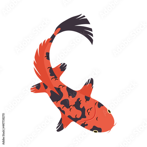 orange and black koi fish