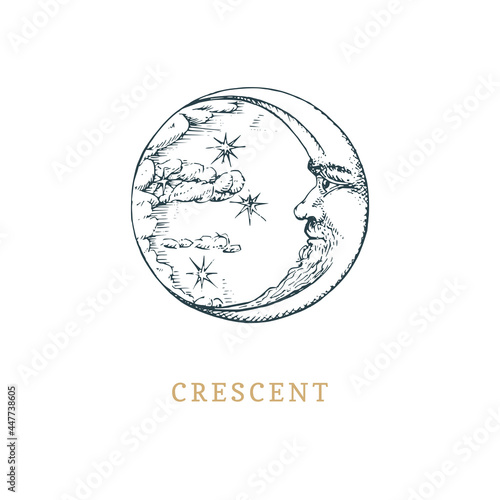 Crescent in engraving style. Vetctor esoteric sign
