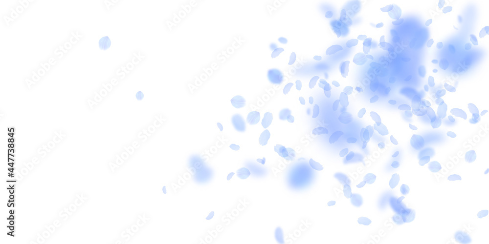 Dark blue flower petals falling down. Mesmeric rom Dark blue flower petals falling down. Mesmeric rom
