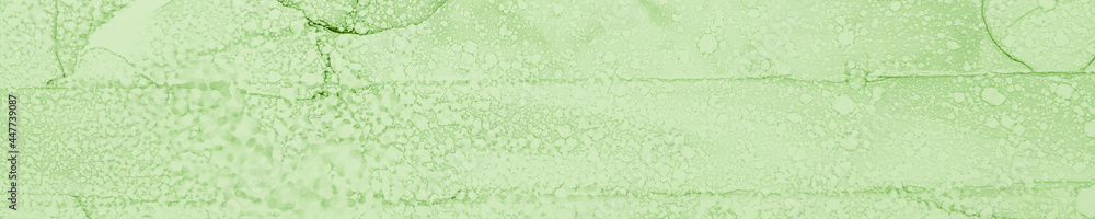 Fototapeta premium Plant Watercolor. Mint Psychedelic Design.
