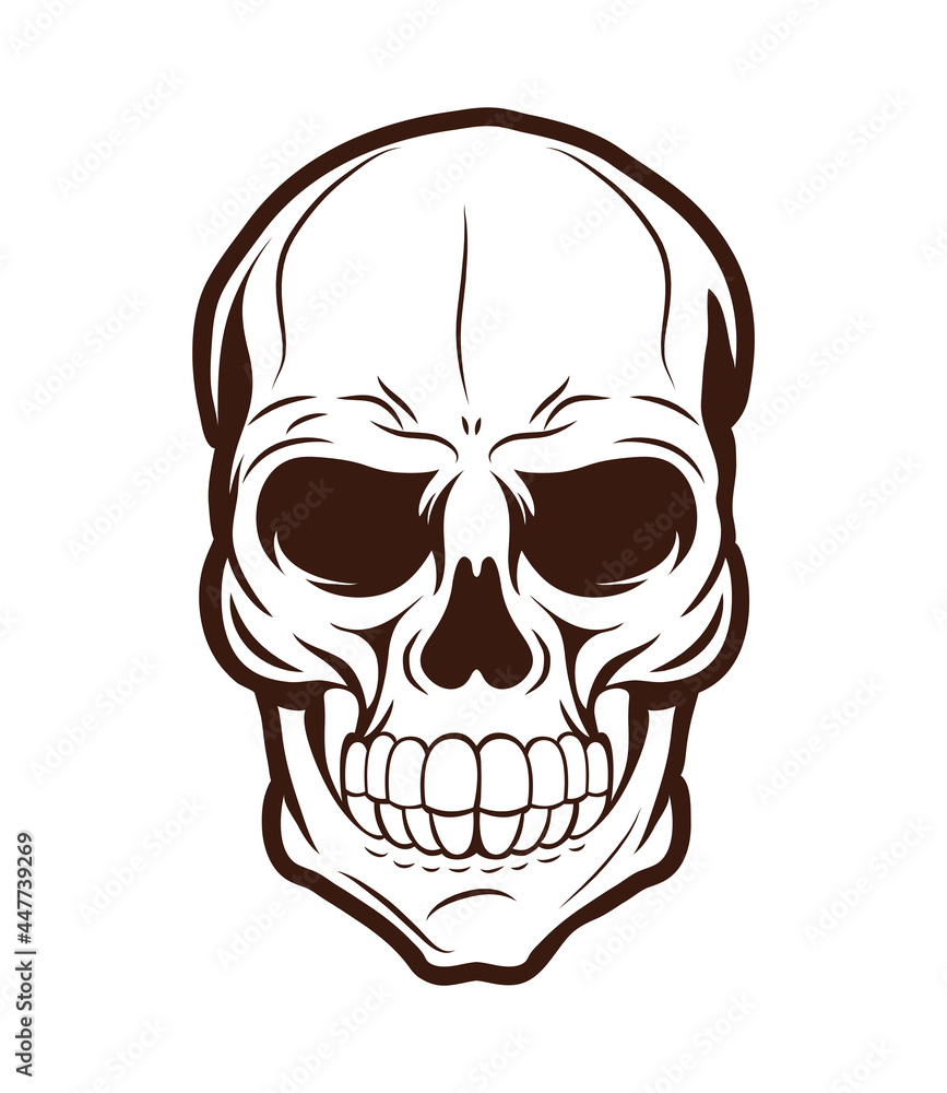 Fototapeta premium Isolated skull head