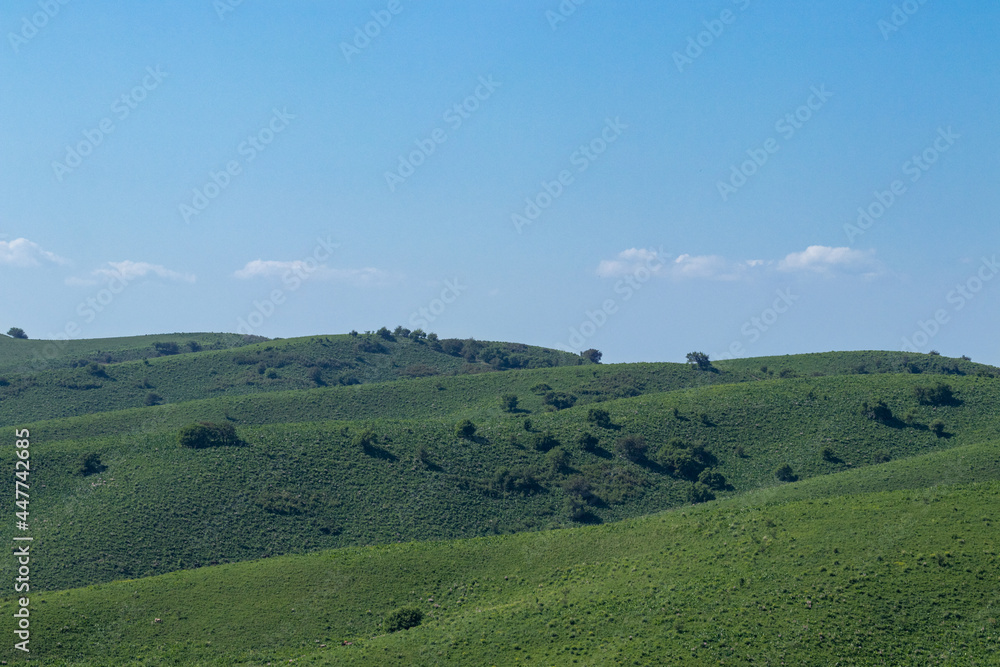 View of the green meadows of the mountain hills View of the green meadows of the mountain hills