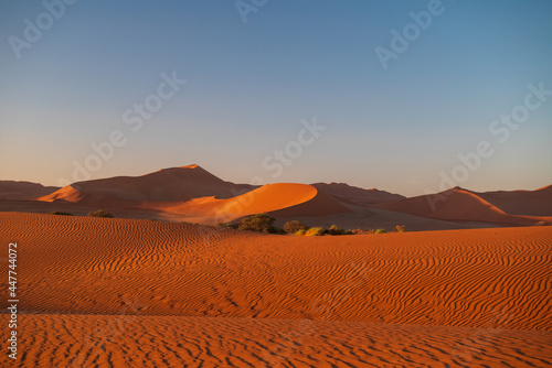 Dunes of Soussuvlei salt pan in Namib-Naukluft National Park, a popular travel destination in Namibia, Africa.