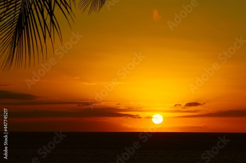 Hawaii s Golden Sunset