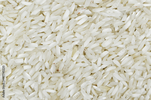 White basmati rice grain made in Myanmar, Asia. Rice is the seed of the grass species Oryza glaberrima or Oryza sativa. photo