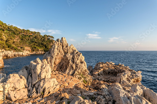 Crique paradisiaque du Cap Ferrat sur la Côte d'Azur