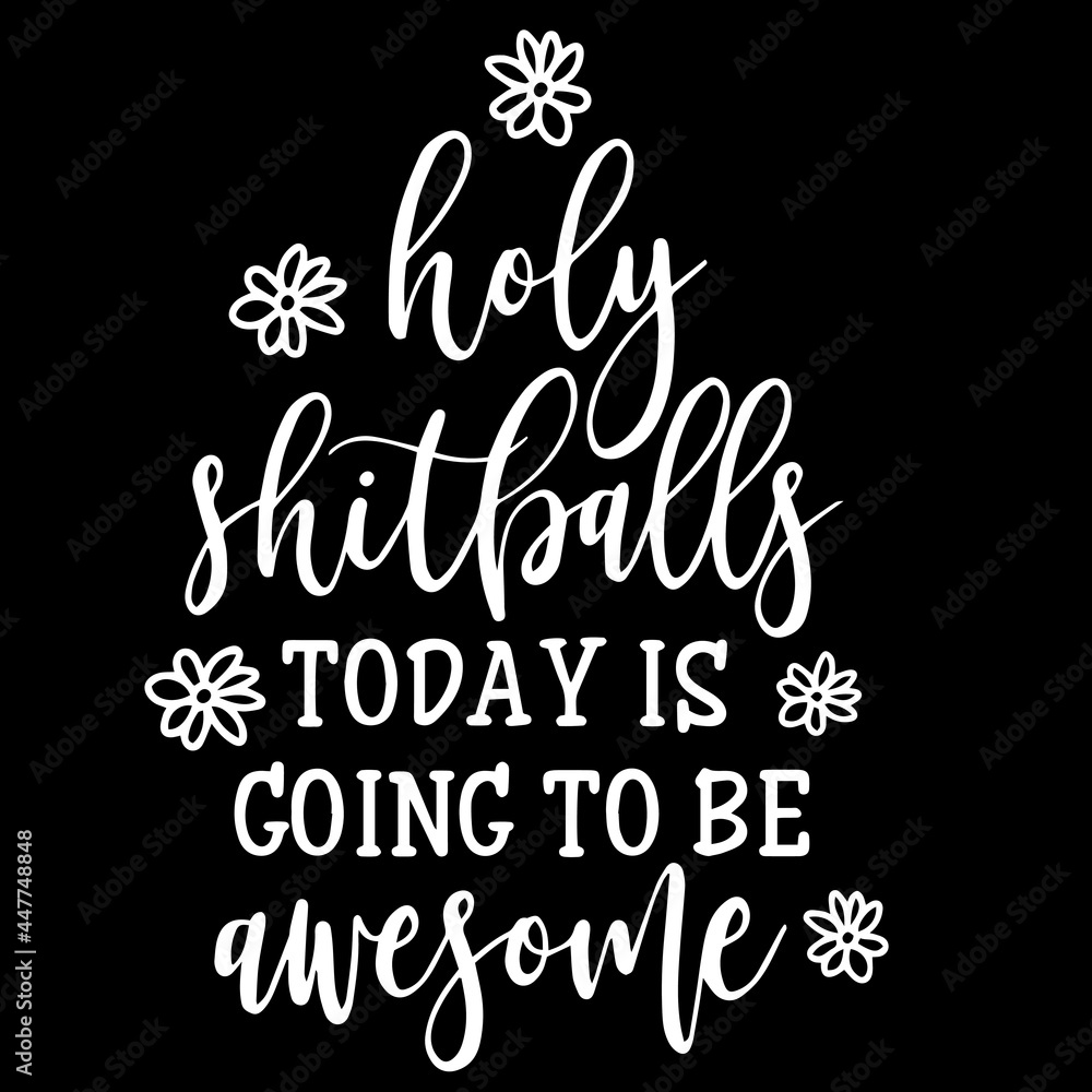 holy shitballs today is going to be awesome on black background inspirational quotes,lettering design
