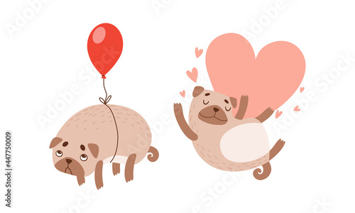 Funny Pug Dog with Curled Tail and Light Brown Coat with Heart and Balloon Vector Set