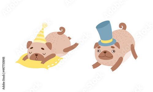 Funny Pug Dog with Curled Tail and Light Brown Coat Sleeping on Pillow and Wearing Top Hat Vector Set © topvectors