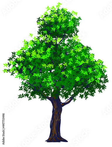 tree2
