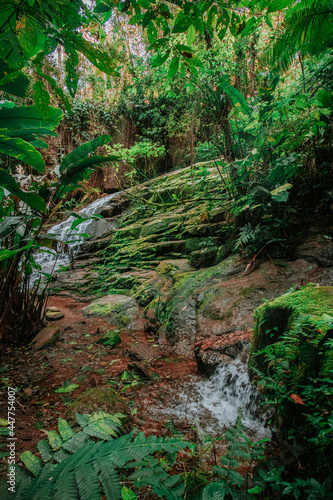 cachoeira na natureza na mata atlântica  © Álbori Ribeiro
