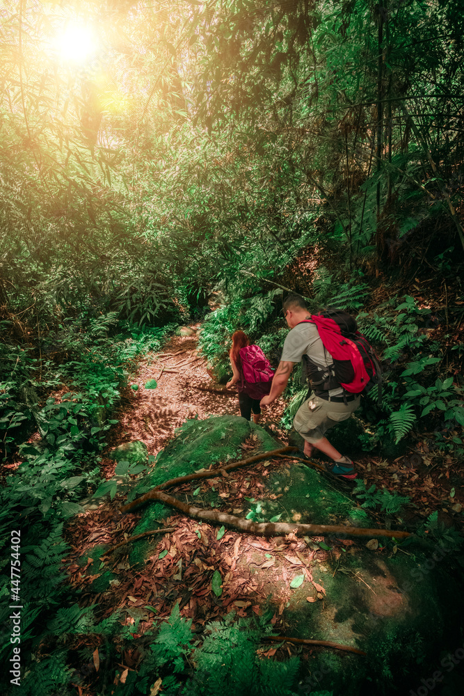 Casal de pessoas caminhando trilha em meio a mata atlântica no paraná brasil Casal de pessoas caminhando trilha em meio a mata atlântica no paraná brasil