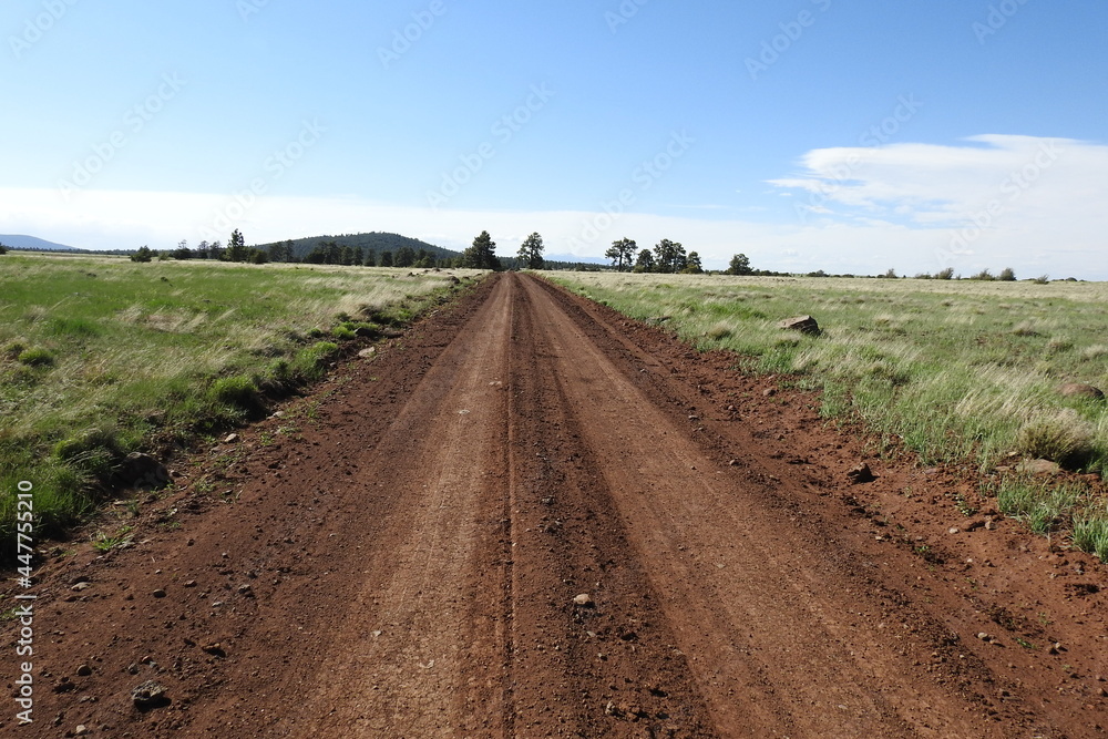 A scenic dirt road on the Mogollon Rim in the Coconino National Forest, Arizona. A scenic dirt road on the Mogollon Rim in the Coconino National Forest, Arizona.