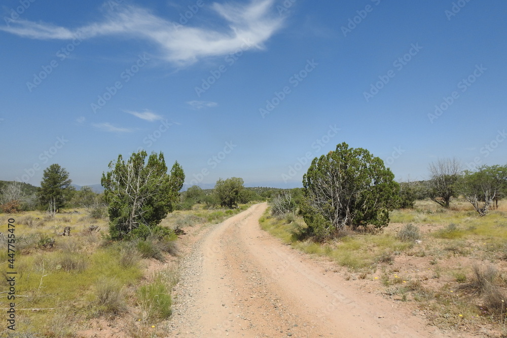 A scenic dirt road on the Mogollon Rim in the Coconino National Forest, Arizona.