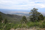 A scenic view of the Verde Valley, with Sedona in the distance, from an elevated viewpoint in the Pine Mountain Wilderness, in the Prescott National Forest, Arizona.