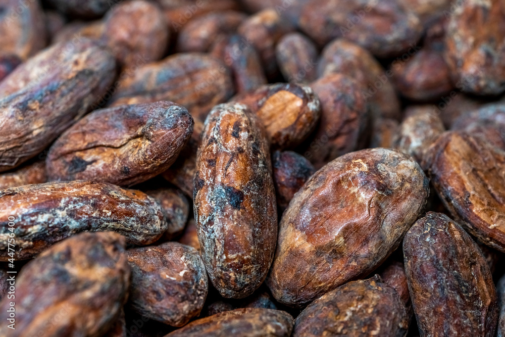 Dry roasted organic cocoa beans for the best gourmet chocolate as background. High quality photo Dry roasted organic cocoa beans for the best gourmet chocolate as background. High quality photo