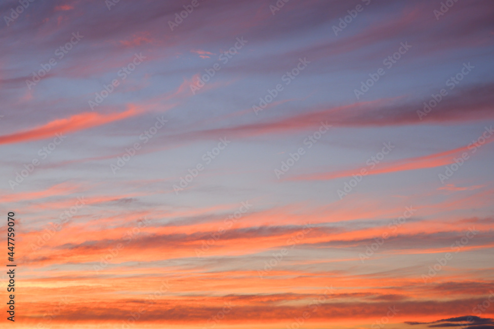 Fototapeta premium Scenery. Photo of the evening sky. Crimson yellow clouds against a blue sky at sunset before a thunderstorm.