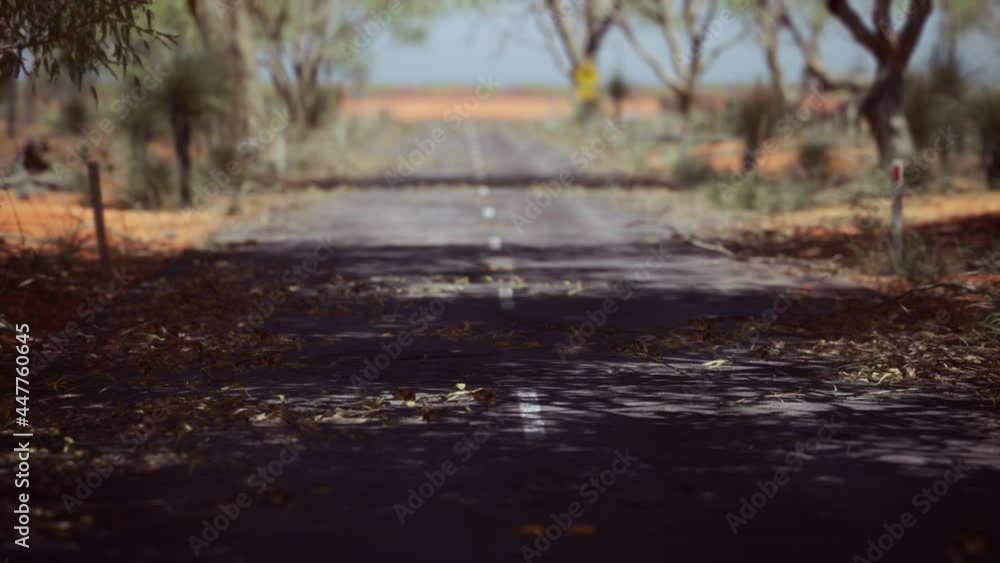 outback road with dry grass and trees outback road with dry grass and trees