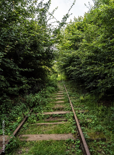 railway in the forest