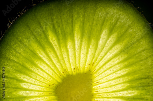 Εκτύπωση καμβά A slice of seedless kiwi fruit, macro shot,texture isolated on black, under lit