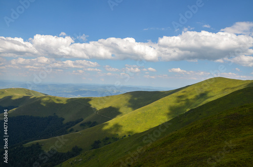 Beautiful mountain ridge and the green blueberry meadows on the hill during sunny summer day. Carpathian mountains, Ukraine