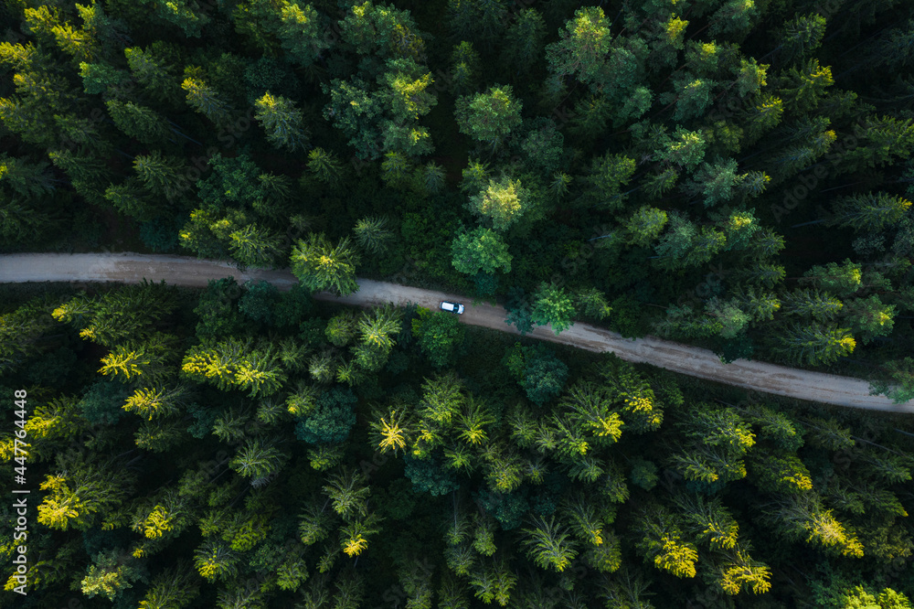 Aerial view of silver vehicle driving through wild forest road in countryside. Aerial view of silver vehicle driving through wild forest road in countryside.