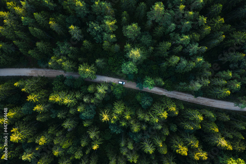 Aerial view of silver vehicle driving through wild forest road in countryside. photo