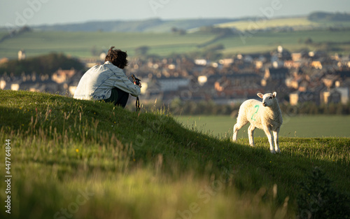 Young female sitting on the grass on top of a hill while taking pictures of a group of sheep that is eating grass in front of her