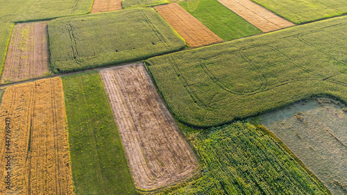 Fields of harvested and unharvested crops in summer from a bird's eye view